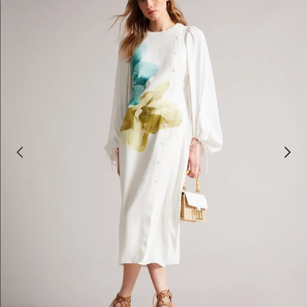 Ted Barker Jordis Dress